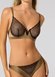 Culotte