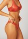 Culotte